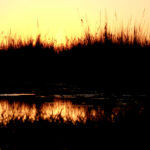 okavango at dusk 3 2097