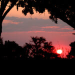 savannah sunrise 0900