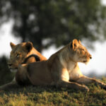 sister and brother 0716
