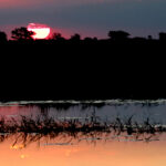 sunset on the okavango delta chobe river 9915