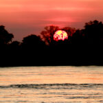 sunset on the zambezi river up from victoria falls, largest falls in the world 2285