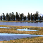 Yellowstone yellowstone lake 8024