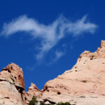 People bird on the wing at window rock0102