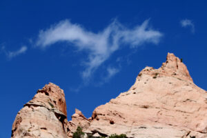 bird on the wing at window rock0102