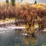 cold fall morning mist schofield1778