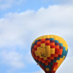 desert flying viking albq 9847