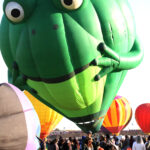 hyla the frog 9506