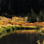 ponds on guanella pass sept 2024 8419