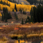 schofield pass 2 18 x 12 9088