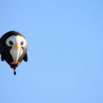 splash, trowbridge, wiltshire, uk 9537