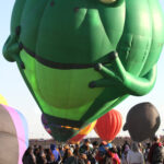 the frog 9505