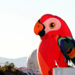 toucan, i can 9350