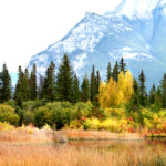 under the cliff vermilion lakes 3144